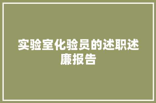 最佳SEO系统助力网站优化，提升搜索引擎排名
