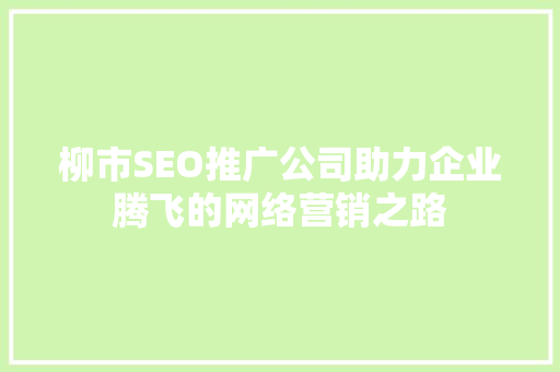 柳市SEO推广公司助力企业腾飞的网络营销之路  第1张