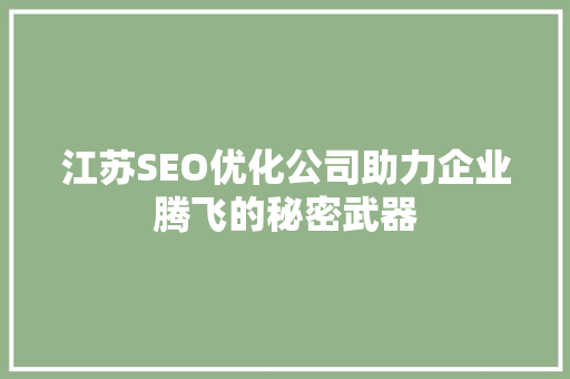 江苏SEO优化公司助力企业腾飞的秘密武器