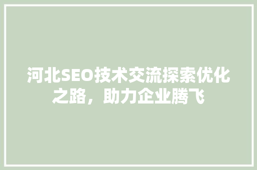 河北SEO技术交流探索优化之路，助力企业腾飞