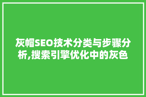 灰帽SEO技术分类与步骤分析,搜索引擎优化中的灰色地带