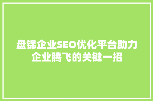 盘锦企业SEO优化平台助力企业腾飞的关键一招