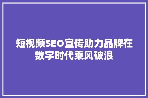 短视频SEO宣传助力品牌在数字时代乘风破浪