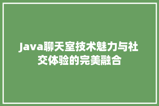 Java聊天室技术魅力与社交体验的完美融合