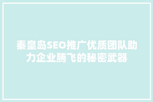 秦皇岛SEO推广优质团队助力企业腾飞的秘密武器