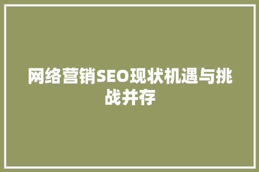 网络营销SEO现状机遇与挑战并存