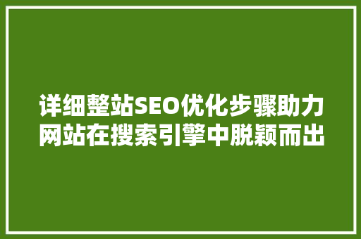 详细整站SEO优化步骤助力网站在搜索引擎中脱颖而出