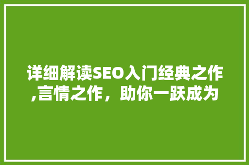 详细解读SEO入门经典之作,言情之作，助你一跃成为搜索霸主