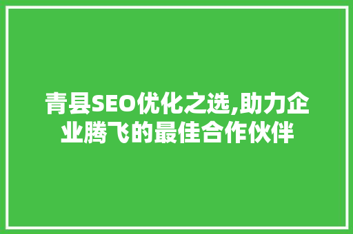 青县SEO优化之选,助力企业腾飞的最佳合作伙伴