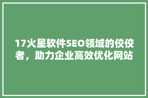 17火星软件SEO领域的佼佼者，助力企业高效优化网站