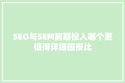 SEO与SEM前期投入哪个更值得详细回报比  第1张