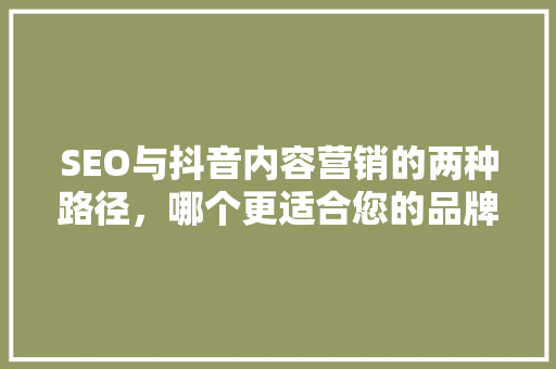 SEO与抖音内容营销的两种路径，哪个更适合您的品牌