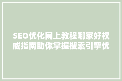 SEO优化网上教程哪家好权威指南助你掌握搜索引擎优化方法