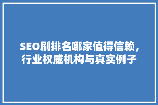 SEO刷排名哪家值得信赖，行业权威机构与真实例子