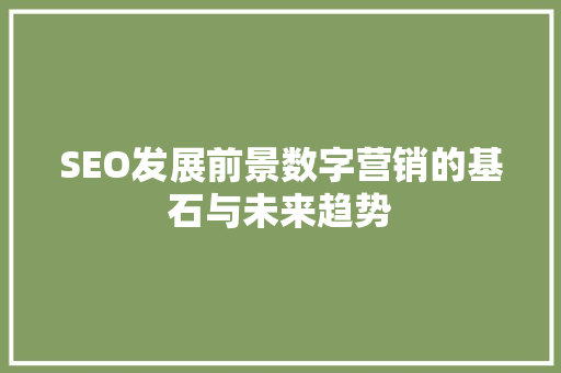 SEO发展前景数字营销的基石与未来趋势