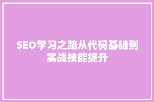 SEO学习之路从代码基础到实战技能提升