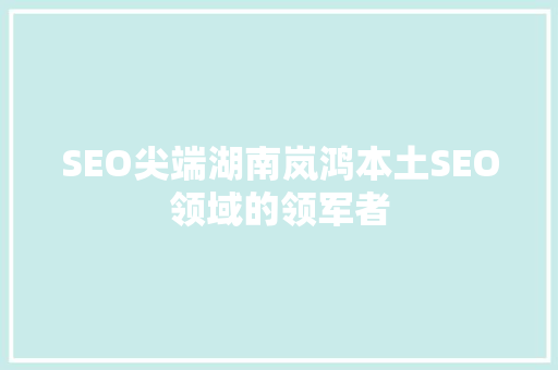 SEO尖端湖南岚鸿本土SEO领域的领军者