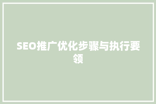 SEO推广优化步骤与执行要领
