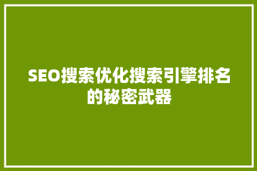 SEO搜索优化搜索引擎排名的秘密武器