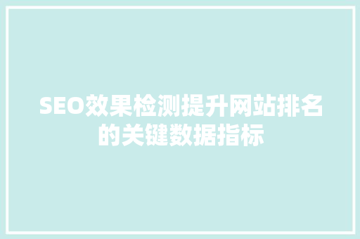 SEO效果检测提升网站排名的关键数据指标  第1张