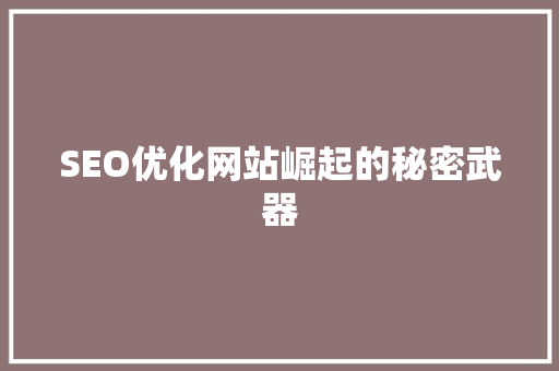 SEO优化网站崛起的秘密武器