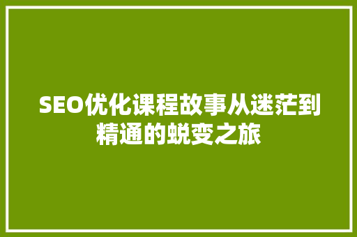 SEO优化课程故事从迷茫到精通的蜕变之旅