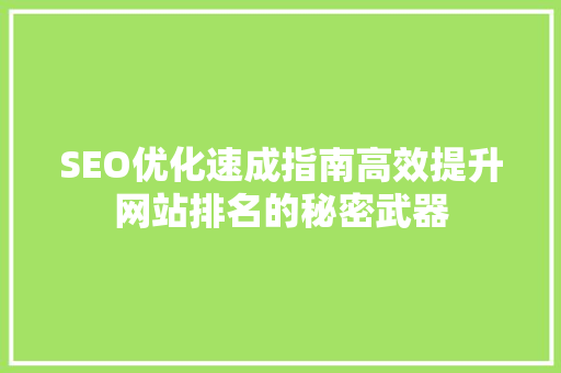 SEO优化速成指南高效提升网站排名的秘密武器