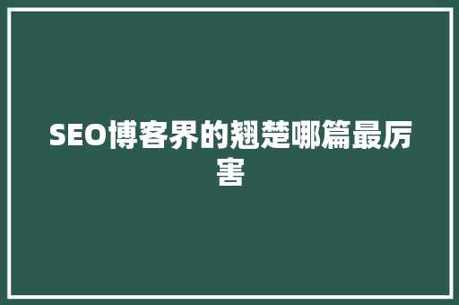 SEO博客界的翘楚哪篇最厉害