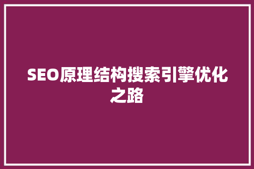 SEO原理结构搜索引擎优化之路