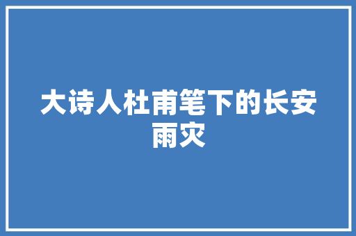 SEO导航软件技术助力网站优化，提升搜索引擎排名