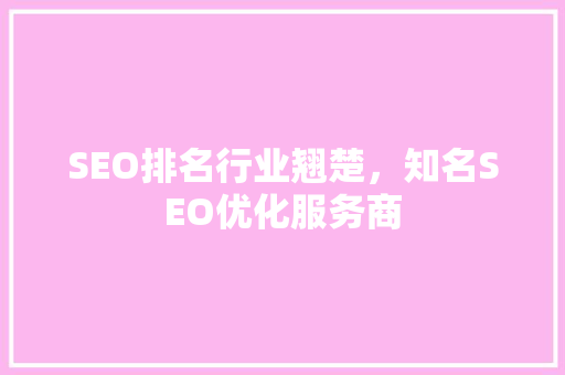SEO排名行业翘楚，知名SEO优化服务商