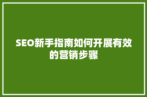 SEO新手指南如何开展有效的营销步骤