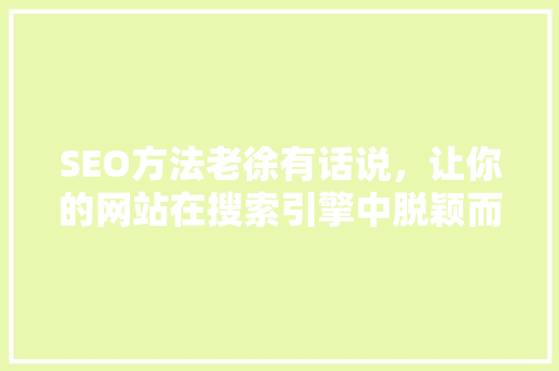 SEO方法老徐有话说，让你的网站在搜索引擎中脱颖而出