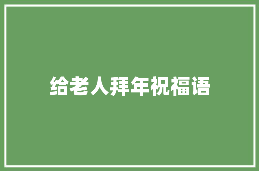 Flash技术革新引领互动体验新潮流