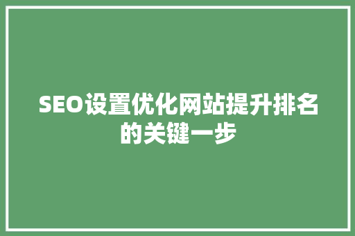 SEO设置优化网站提升排名的关键一步