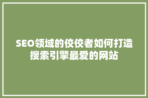 SEO领域的佼佼者如何打造搜索引擎最爱的网站