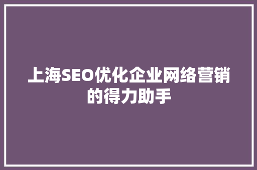上海SEO优化企业网络营销的得力助手