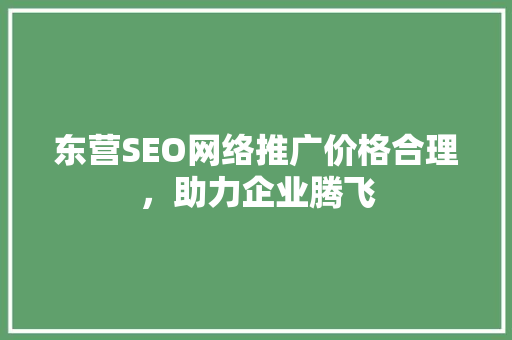 东营SEO网络推广价格合理，助力企业腾飞