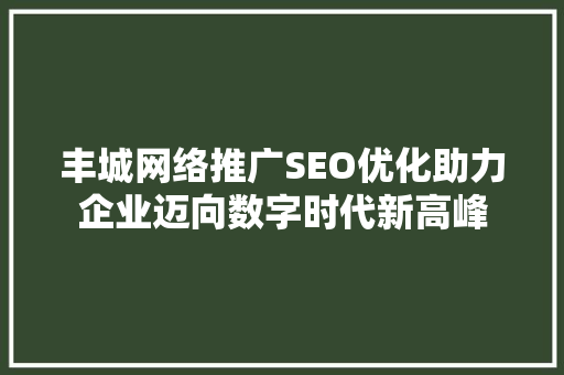 丰城网络推广SEO优化助力企业迈向数字时代新高峰