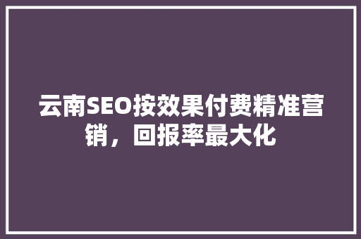 云南SEO按效果付费精准营销，回报率最大化  第1张