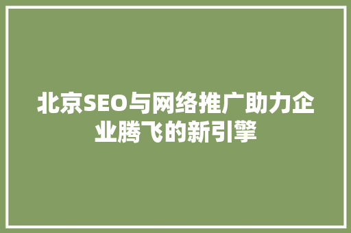 北京SEO与网络推广助力企业腾飞的新引擎