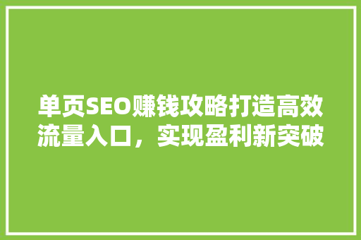 单页SEO赚钱攻略打造高效流量入口，实现盈利新突破