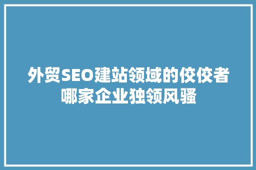 外贸SEO建站领域的佼佼者哪家企业独领风骚