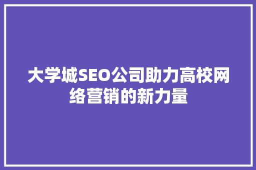 大学城SEO公司助力高校网络营销的新力量