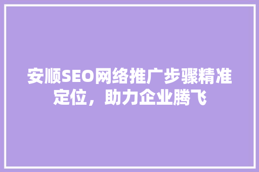 安顺SEO网络推广步骤精准定位，助力企业腾飞
