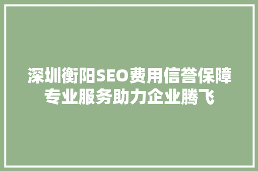 深圳衡阳SEO费用信誉保障专业服务助力企业腾飞