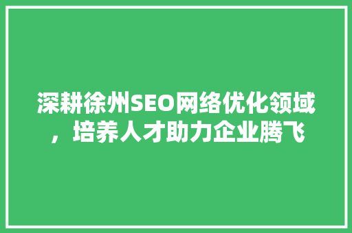深耕徐州SEO网络优化领域，培养人才助力企业腾飞