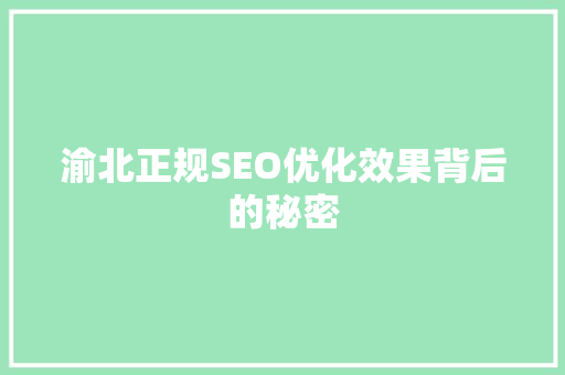 渝北正规SEO优化效果背后的秘密