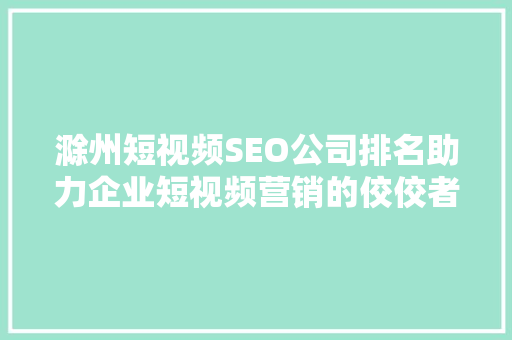 滁州短视频SEO公司排名助力企业短视频营销的佼佼者