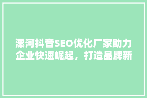 漯河抖音SEO优化厂家助力企业快速崛起，打造品牌新高度  第1张